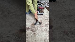 PERMANENT HAIR DYE ALL OVER MY RUG🤯 satisfyingvideo hairdye fail [upl. by Damas]