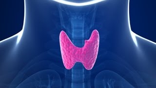 Tutorial de exploración en Ultrasonido de Tiroides [upl. by Arty92]