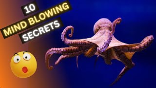 Unveiling the mysterious world of octopuses 10 Mind Blowing Secrets Revealed [upl. by Alwin137]