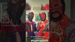 SERPENTICO Luchadores Enmascarados de AEW allelitewrestling aew serpentico [upl. by Assilrac250]