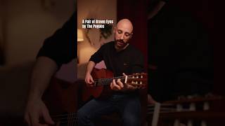 The Pogues  A Pair of Brown Eyes  Fingerstyle Guitar Instrumental thepogues shanemacgowan [upl. by Nerrej]