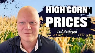 Corn Hasnt Been This High Since July Ted Seifried on RFDTV [upl. by Pegg]