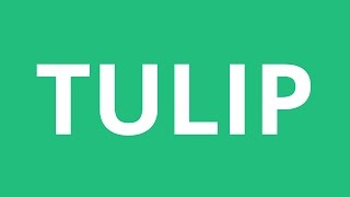 How To Pronounce Tulip  Pronunciation Academy [upl. by Heaps]