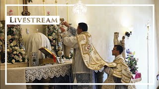 Solemn High Mass  The Last Sunday after Pentecost  112424 [upl. by Nessim]