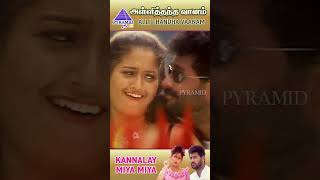 Kannalay Miya Miya Video Song  Alli Thandha Vaanam Movie Songs  Prabhu Deva  Laila  ytshorts [upl. by Akiraa302]