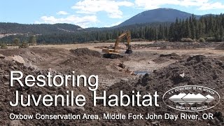 Restoring Juvenile Habitat Oxbow Conservation Area [upl. by Ledniahs]