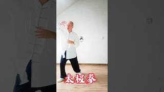 无为而为；无为而治 actionless governance doing nothing that goes against nature 太极 kungfu 太極拳 taijiquan [upl. by Lepp]