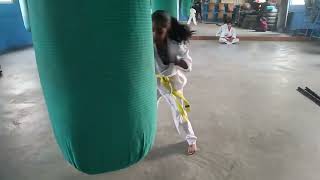 Heavy Bag Training Session Kicks amp Punches Sempei Padma Priya Babu  Warrior Ki dojo 10032023 [upl. by Gladis165]