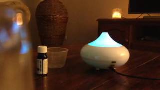 Quick Tip How To Clean Your Essential Oil Diffuser Bonus Fresh and Clean Diffuser Blend [upl. by Mcclimans]