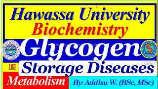 Glycogen Storage Diseases glycogenesis glycogenolysis glycogen metabolism [upl. by Yesnil392]