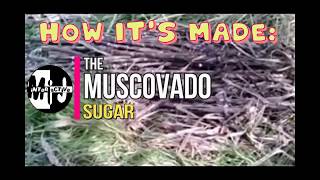 How its made The Muscovado Sugar [upl. by Aggi]