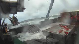 Bering Sea Alaska Crabbing Throwing the Hook in a Storm During Snow Crab 2011 FV Western Mariner [upl. by Ruff]