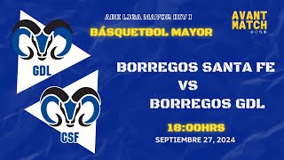 LIGA MAYOR ABE VARONIL DIV I EN VIVO 🔴  BORREGOS CSF VS BORREGOS GDL  AVANT MATCH [upl. by Ariew386]