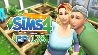 The Sims 4  Introdução à Jardinagem  Ep178 [upl. by Nnylahs999]