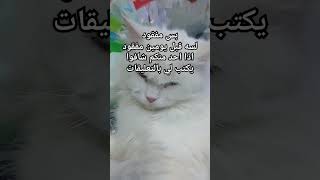 بستي مفقوده [upl. by Endor]