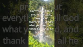 Philippians 46 [upl. by Kemppe]