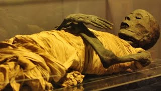 UNCovered  Egypts Great Mummies Unwrapped  Best Documentaries 2021 [upl. by Trelu]