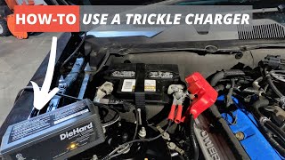 How to Trickle Charge Your Car Battery  Storing a Car [upl. by Frame]