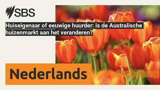 Huiseigenaar of eeuwige huurder is de Australische huizenmarkt aan het veranderen  SBS Dutch [upl. by Vernier]