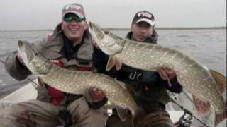 Huge pikes Wielkie szczupaki Fishing in Ireland [upl. by Adrahc48]