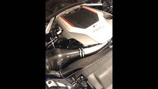 Audi B9 RS4 eventuri sound [upl. by Slen76]