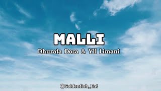 DHURATA DORA X YLL LIMANI  MALLI Lyrics [upl. by Nies]