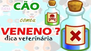 INTOXICAÇÃO EM CÃES  O QUE FAZER [upl. by Imugem]