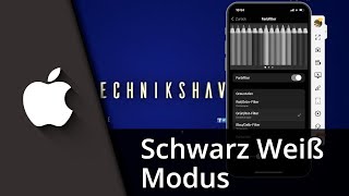 iPhone Schwarz Weiß Modus  iPhone auf Schwarz Weiß stellen ✅ Tutorial [upl. by Oranneg305]