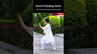 Tai Chi’s mystical charm energy flows smoothly regulates the organs immune to illness [upl. by Aiden]