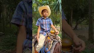 El caballo del sipote no quiere infieles 😱 humor videogracioso [upl. by Ahsaetan]