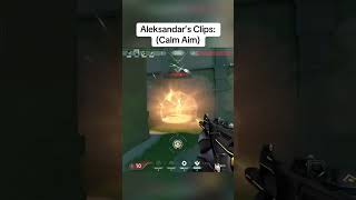 Aleksandar Why You Should Master Calm Aim 👀 [upl. by Salina]