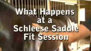 What Happens in a Schleese Saddlery Saddle Fitting Session [upl. by Jannel]