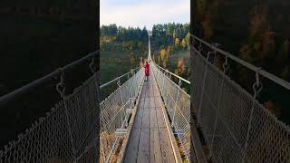 360 Meters Above Epic Views from Geierlay Bridge [upl. by Hussein]