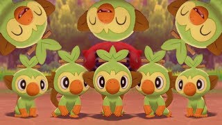 Grookey Gang Playing In Pokemon Camp 1 Hour [upl. by Lienhard]