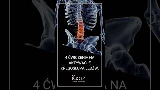 4 ćwiczenia na AKTYWACJĘ KRĘGOSŁUPA lędźwiowego shorts [upl. by Canada128]