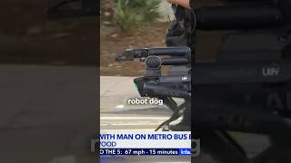 LAPD Robot Dog VS Bus Standoff Situation KTLA5 [upl. by Pestana]