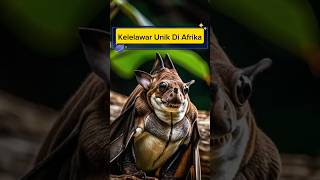 Keunikan Kelelawar Berkepala Mirip Martil Terbesar Di Afrika [upl. by Annahavas]