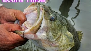 You got to learn this technique for catching bass deep  How To Fishing Tips Jacob Wheeler [upl. by Ahsinyd]