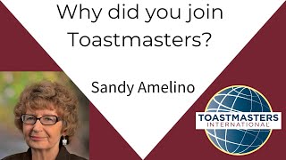 Why did you join Toastmasters  Sandy Amelino [upl. by Leummas606]