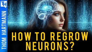 Brain Rejuvenation Breakthrough Can Avoiding This Save Your Brain [upl. by Ahidam592]