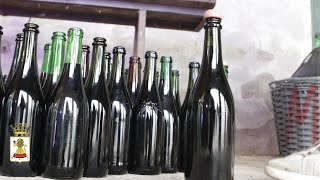 imbottigliamento consigli per un travaso di vino lambrusco perfetto [upl. by Daveta]