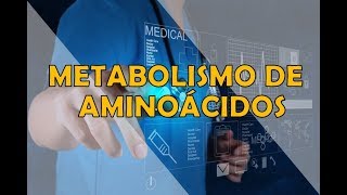 METABOLISMO DE AMINOÁCIDOS [upl. by Clarabelle]