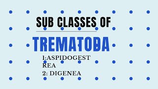 Sub classes of Trematoda AspidogestreaDigenea invertebrates diversity [upl. by Ladnar]