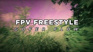 FPV Freestyle  TheGoferFlow [upl. by Nathanil287]