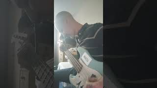 Bass Big Muff Fuzz Tones electroharmonix bigmuff bassist bassplayer shorts [upl. by Wiley78]