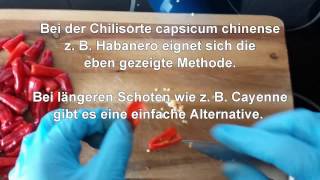 Chili schnell und einfach im Ofen trocknen Ideal für Chiliflocken und Chilipulver [upl. by Oek]