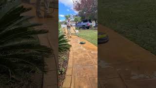 Cleaning black algae from Driveway Timelapse shortsvideo trending diy viralvideo contruction [upl. by Lossa]