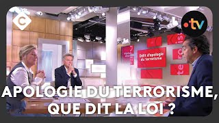 Apologie du terrorisme que dit la loi   L’édito de Patrick Cohen  C à vous [upl. by Chemash]