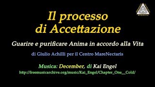 Il processo di Accettazione  parte 1  Introduzione [upl. by Dleifrag]