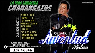 Mega Mix De CharangasOrgano Juventud Mixteco 2022 Lo Mejor De Lo MejorCharangazos De Lujo [upl. by Erle]